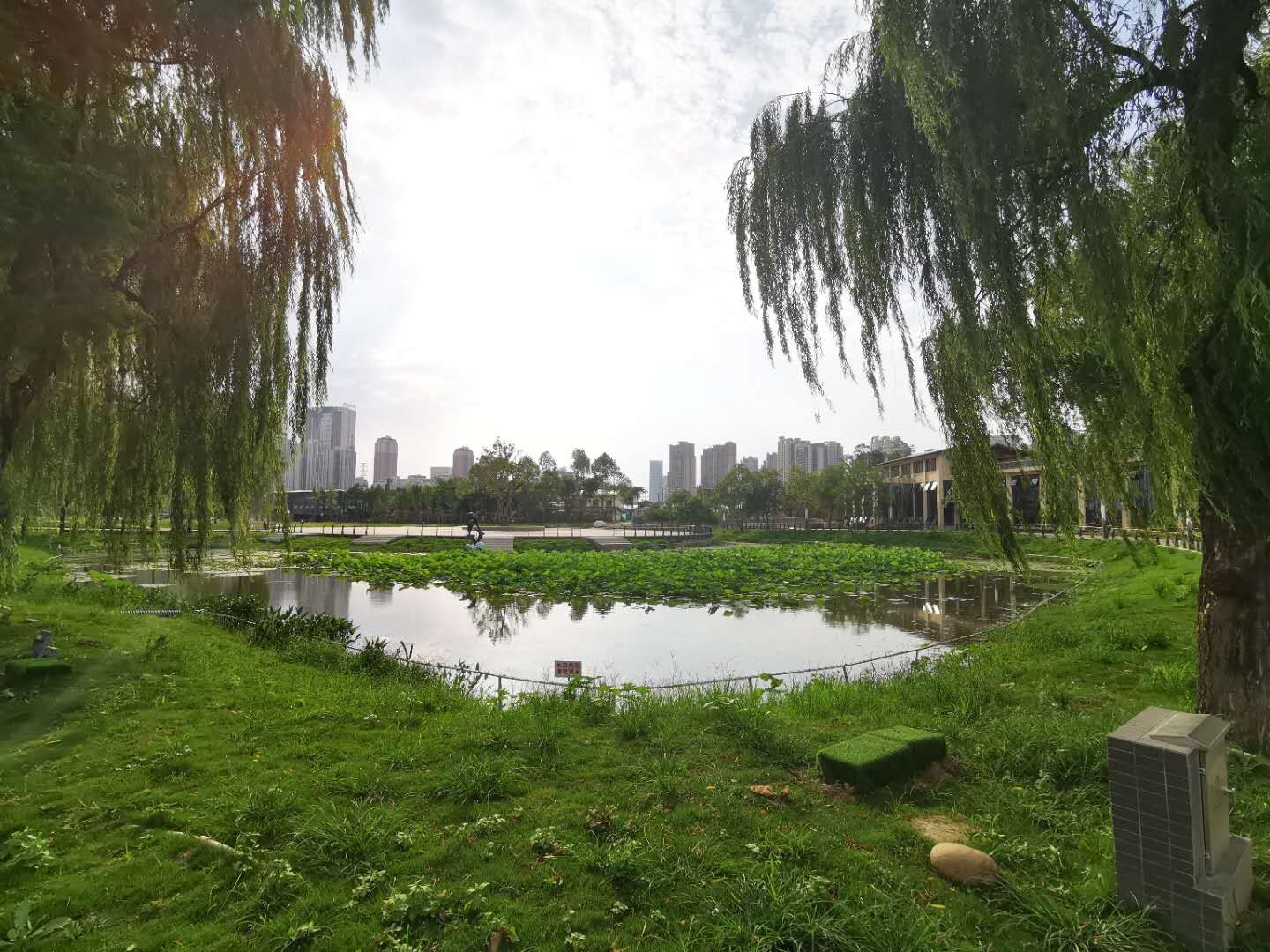 ΢��ͼƬ_20200703164058