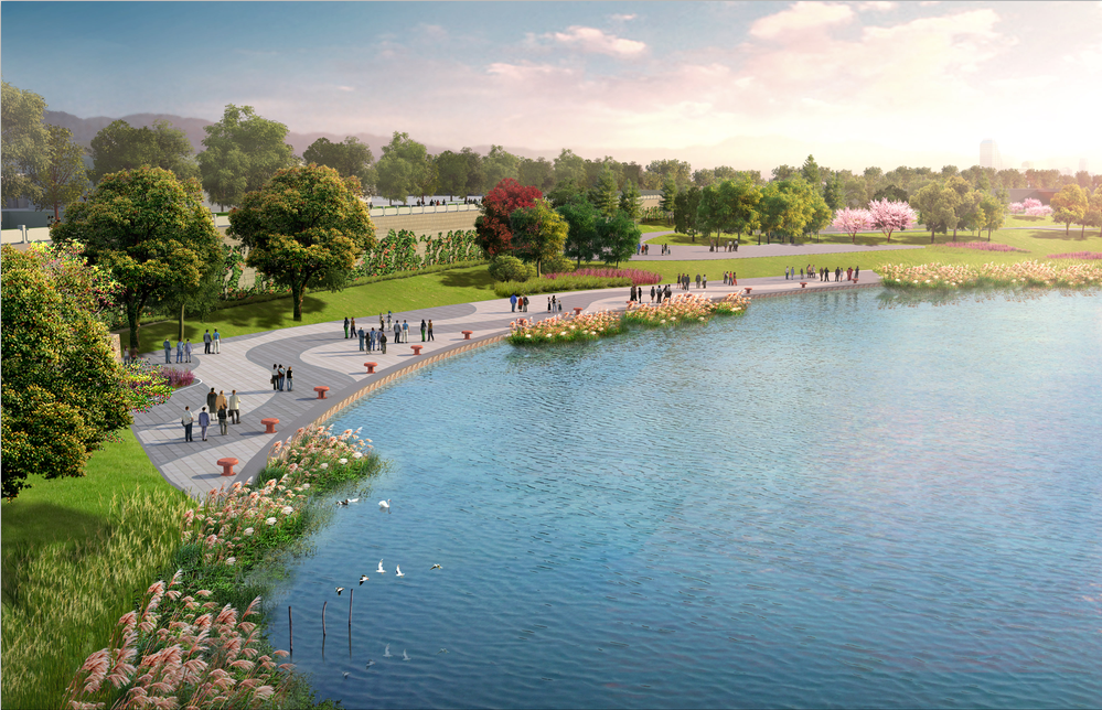 �������߽��ۺ����κͿ������ù���